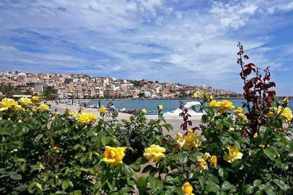 Traditional Stone House Sitia  Dış mekan fotoğraf